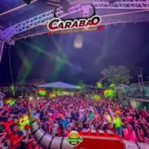 Carabao O Furioso Do Marajó 的头像