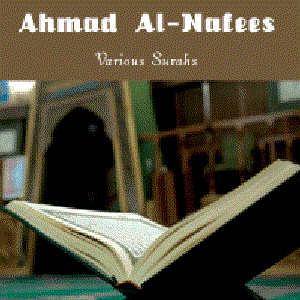 Various Surahs