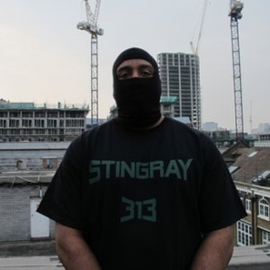 Stingray 313 的头像