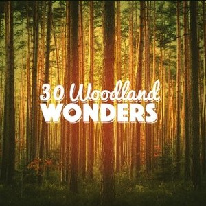 30 Woodland Wonders