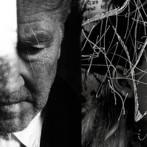 Awatar dla David Lynch  Lykke Li