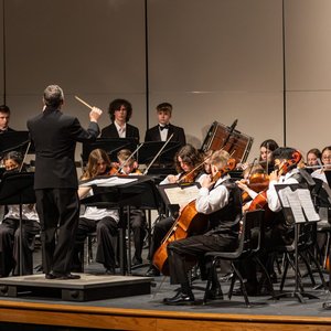 Avatar di The Intermezzo Orchestra