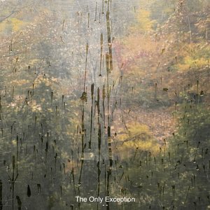 The Only Exception - Single