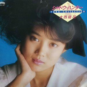 シャドウ・ハンター ～YUKAコレクション～