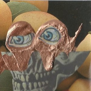 mold omen 的头像
