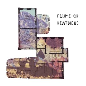 Plume Of Feathers