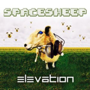 Avatar for Spacesheep