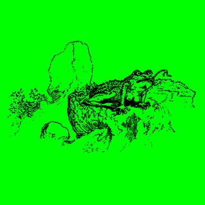Drink Robo Worship The Toad God