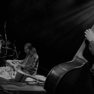 Avatar for Debashish Bhattacharya, Wojtek Traczyk, Hubert Zemler