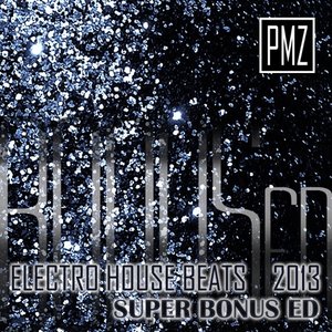 Electro House Beats 2013: Super Bonus Edition