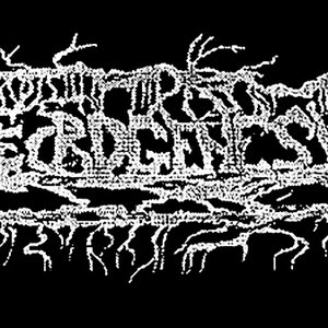 Necrogenesis 的头像