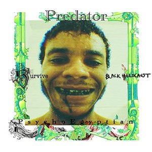 Predator