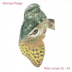 Misc Loops #1- #3