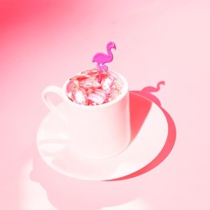 Pink Flamingo Rhythm Revue