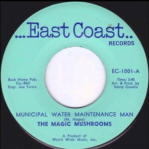 Municipal Water Maintenance Man / Let The Rain Be Me
