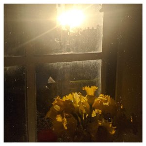 Late Night, Low Light