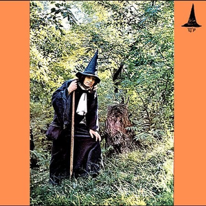 The Grey Wizard Am I cover