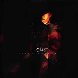 Image for 'Dust'
