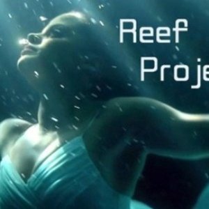 Awatar dla Reef Project