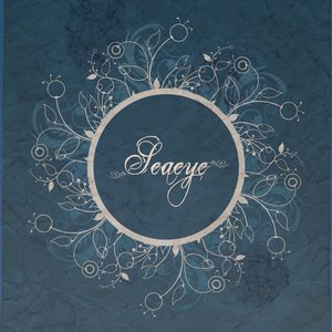 Seaeye 的头像