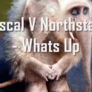 Pascal & Northstarz 的头像