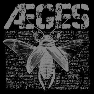 Roaches