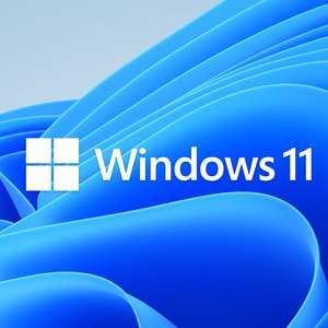 Avatar for Windows 11