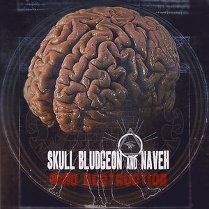 Аватар для Skull Bludgeon & Naveh