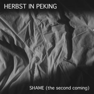 Shame (The Second Coming)