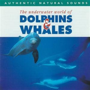 Dolphins & Whales