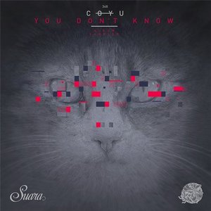 You Don't Know (album Sampler)