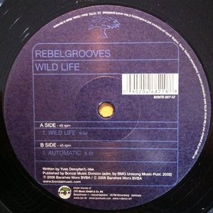 Rebelgrooves 的头像