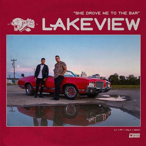 She Drove Me To The Bar - Single