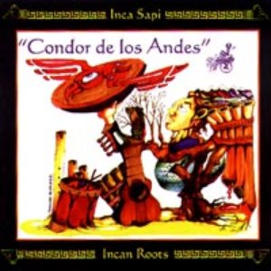 Condor De Los Andes