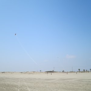 Music - Single