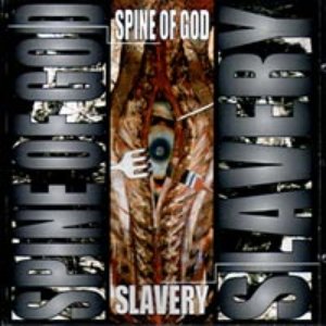 Spine of God 的头像