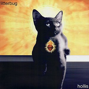 Hollis