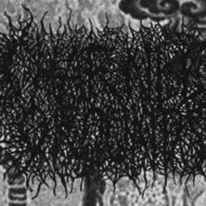 Charnel Grounds 的头像