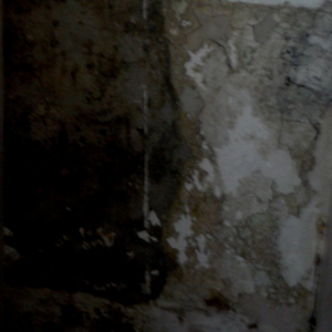 _01_2010 cover