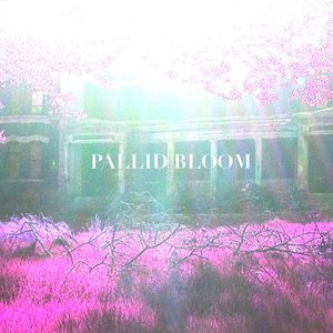 Pallid Bloom 的头像