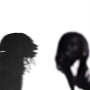 LF Archive 的头像