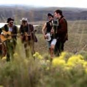 Elvis Costello and Mumford and Sons 的头像