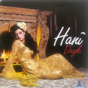 “dayk”的封面
