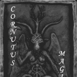 Avatar di Der schwarze Morgenstern