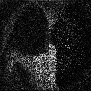 Witness/Introspect [Explicit]