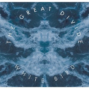 White Bird