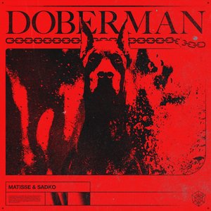Doberman - Single