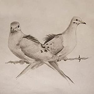 Mourning Doves