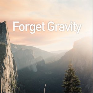 Forget Gravity II