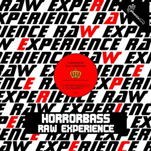 Raw Experience